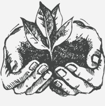Hands with Leaf