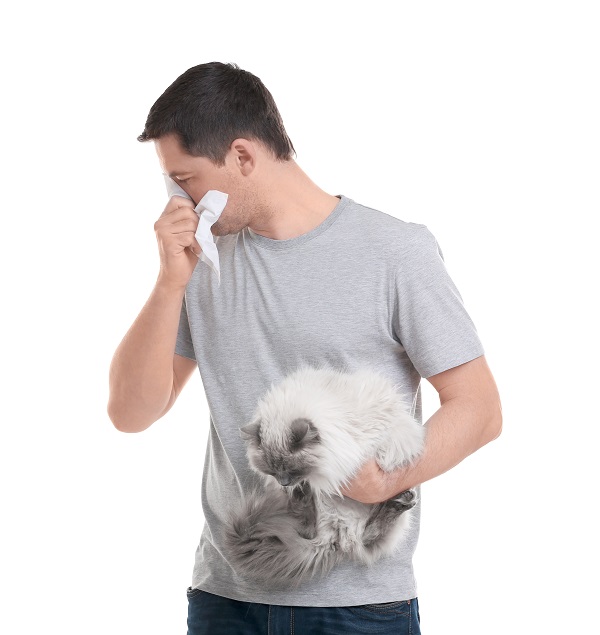 Can Your Pet Be the Source of Your Eye Allergies?